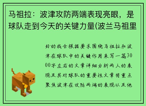 马祖拉：波津攻防两端表现亮眼，是球队走到今天的关键力量(波兰马祖里)